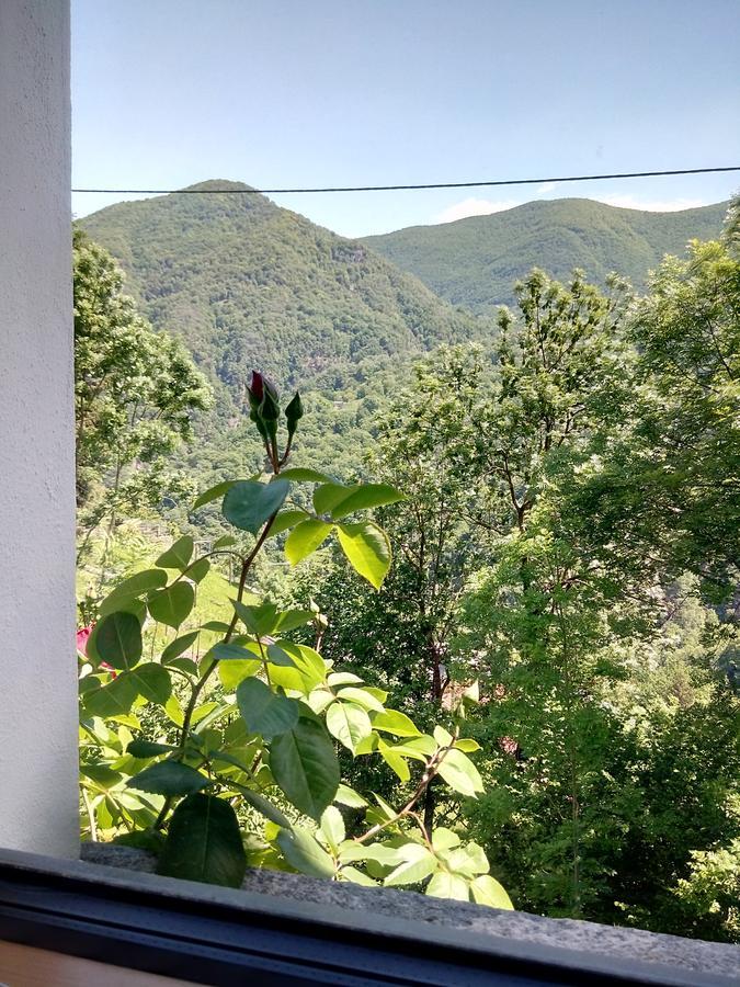 Rustico "Casa Di Sasso" Villa Intragna Exteriör bild